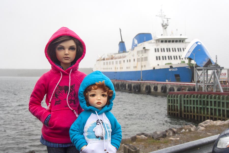 Back in Newfoundland